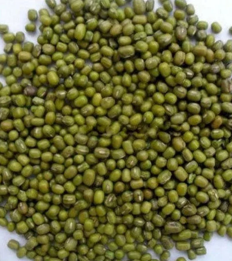 Coriander